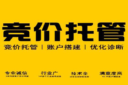案例分享：网络推广竞价策略应用